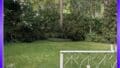 Gartenblick von Terrasse
